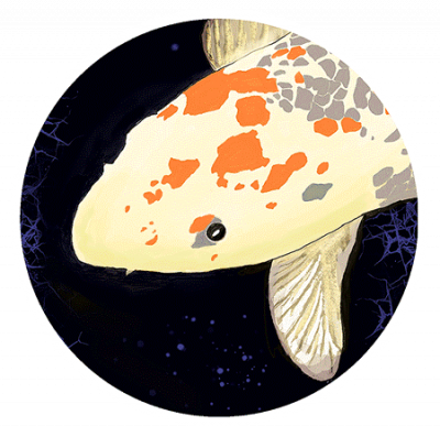 Koi Fish drawing sticker is pictured