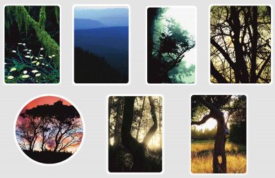Seven tree stickers for a phone case are pictured.