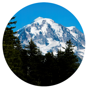 Mt. Rainier Mountain sticker is pictured.