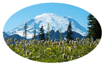 Mount Rainier National Park sticker is shown.