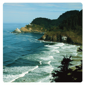 This is an Oregon coast beach sticker pictured.