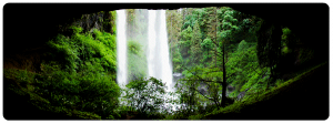 Oregon Outdoor Waterfall Sticker.
